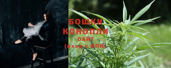 mdpv Елабуга