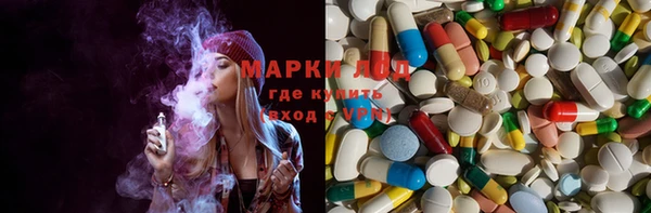 mdpv Елизово