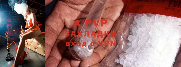 mdpv Елизово