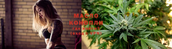Альфа ПВП Ельня