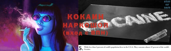 mdpv Елизово