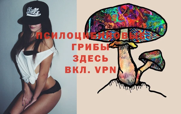 mdpv Елабуга