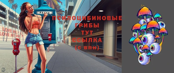 mdpv Елабуга