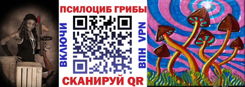 Купить где  Морозовск  Галлюциногенные грибы MAGIC MUSHROOMS 
