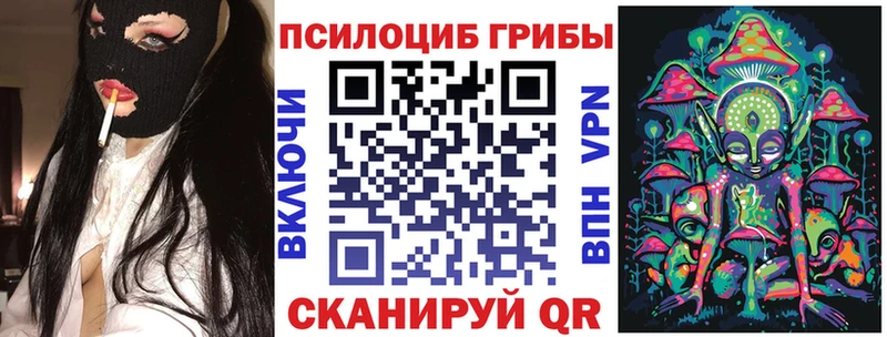 Псилоцибиновые грибы Psilocybe Морозовск